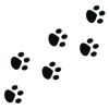 Extra big pawprints